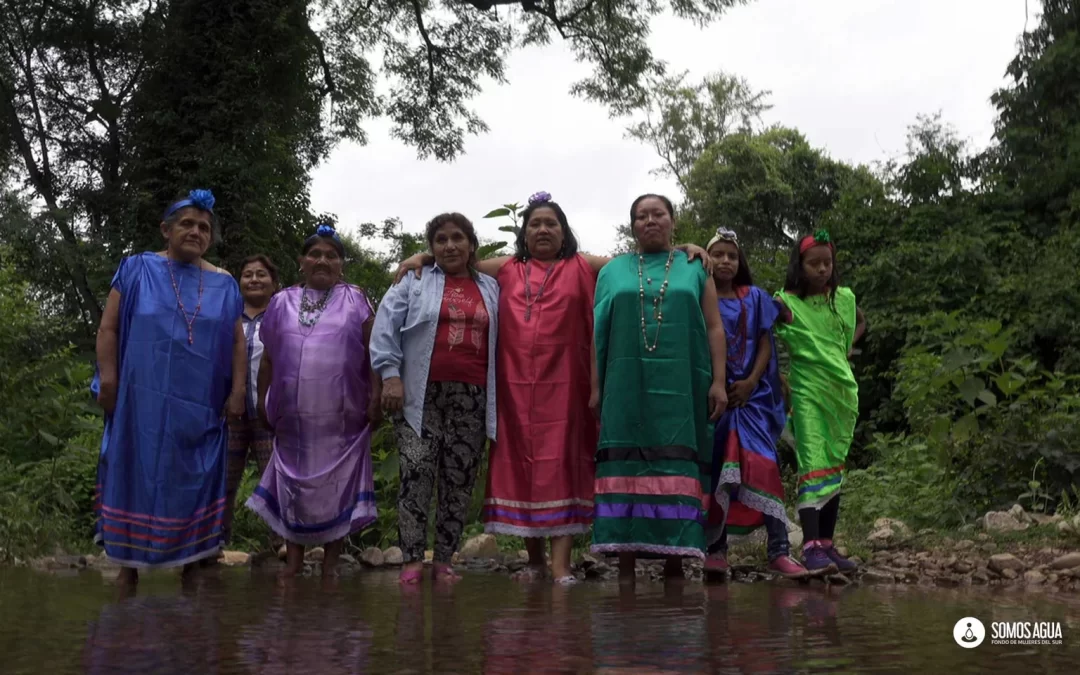 Más de 400 personas ya se sumaron a la causa de las mujeres que defienden el derecho al agua