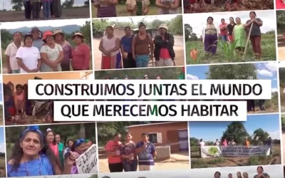 El FMS en el Chaco Americano: no te pierdas el video sobre el Programa de Defensoras Ambientales