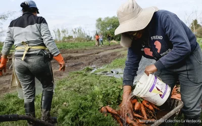 “Today is it the Women—the Ecoterritorial Feminists—who Build the Future”